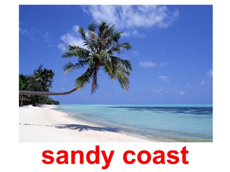 sandy coast
